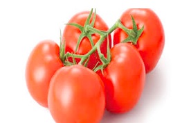 tomatoes